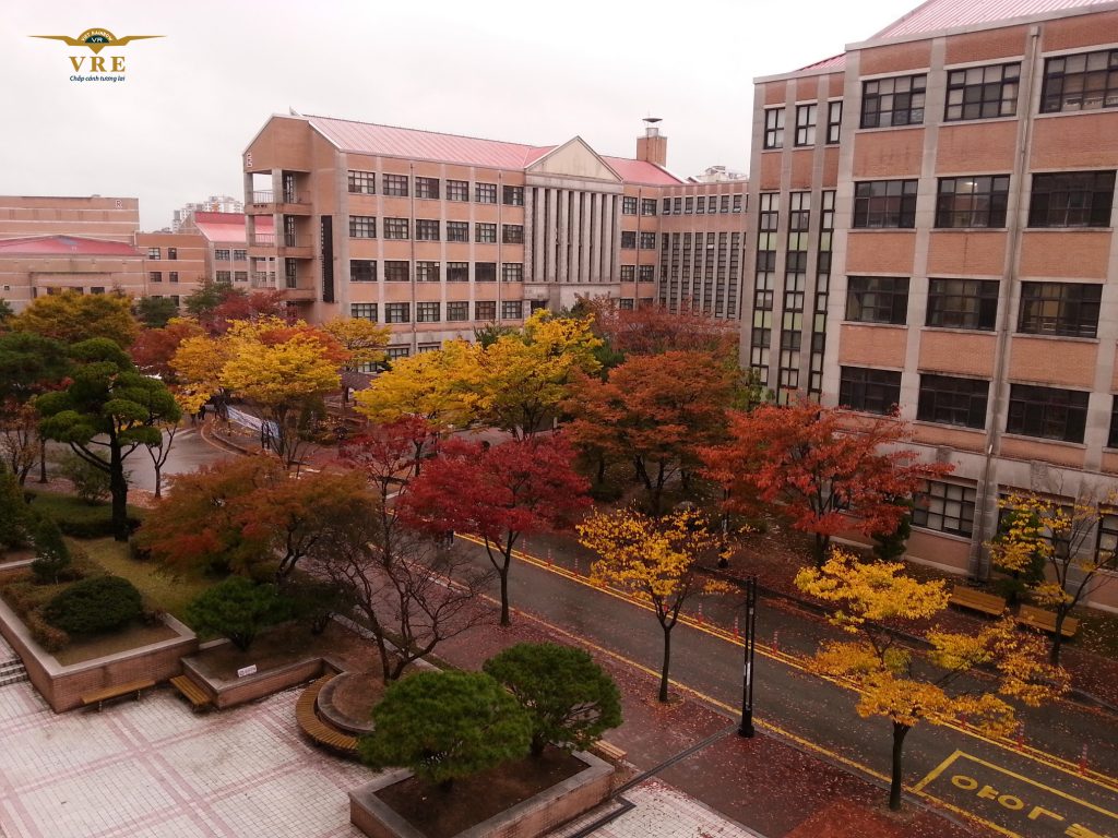 Đại học Mokwon vào mùa Thu