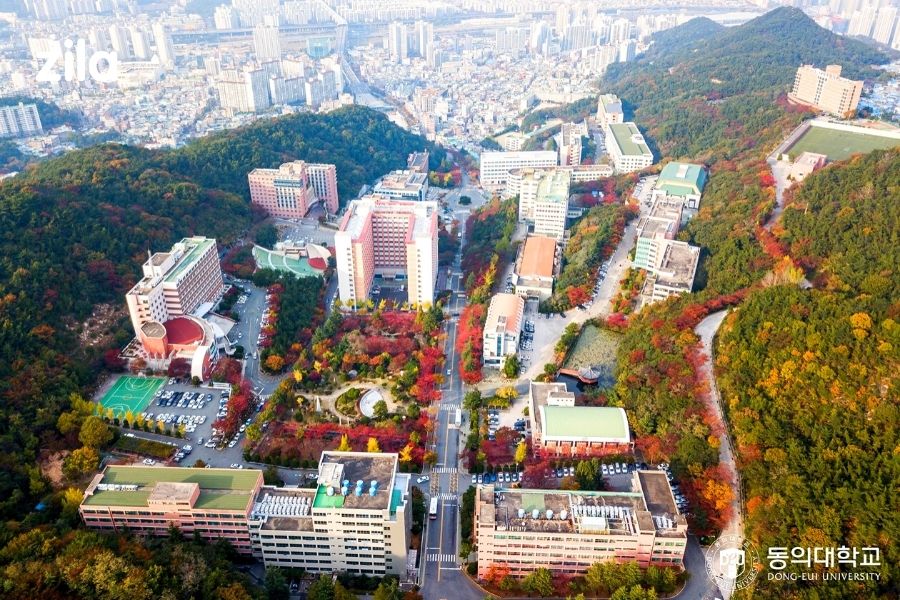 Đại học Dong eui
