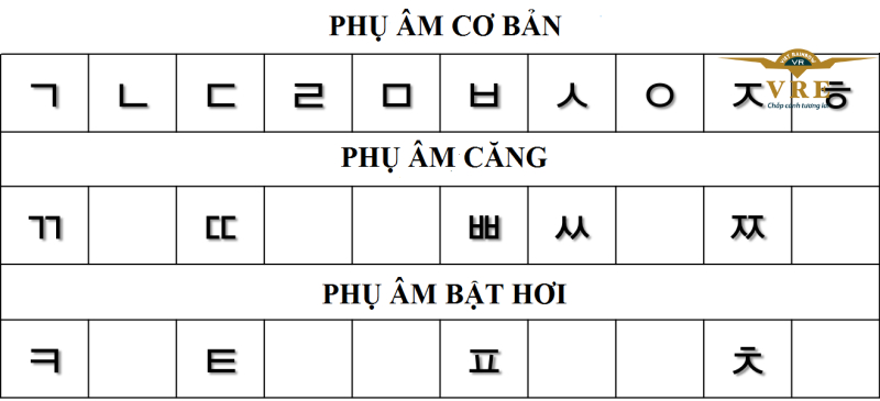Phát âm là yếu tố đầu tiên bạn cần nắm được khi học tiếng Hàn cho người mới