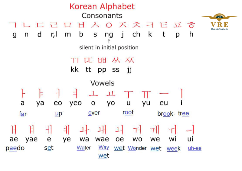 Khi học tiếng Hàn cho người mới, bạn cần làm quen và thuộc lòng bảng chữ cái