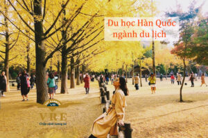 Du học Hàn Quốc ngành du lịch