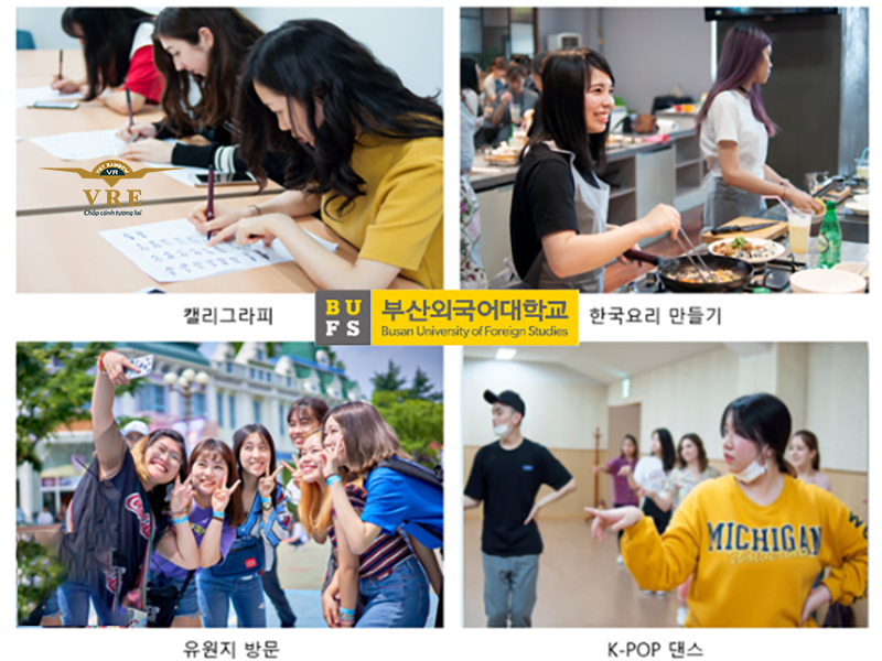 Chương trình đào tạo tiếng Hàn tại Đại học Ngoại Ngữ Busan
