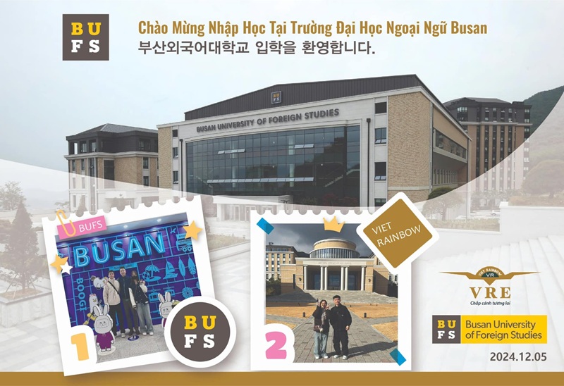 Chương trình đào tạo hệ đại học trường Đại học Ngoại ngữ Busan (BUFS)