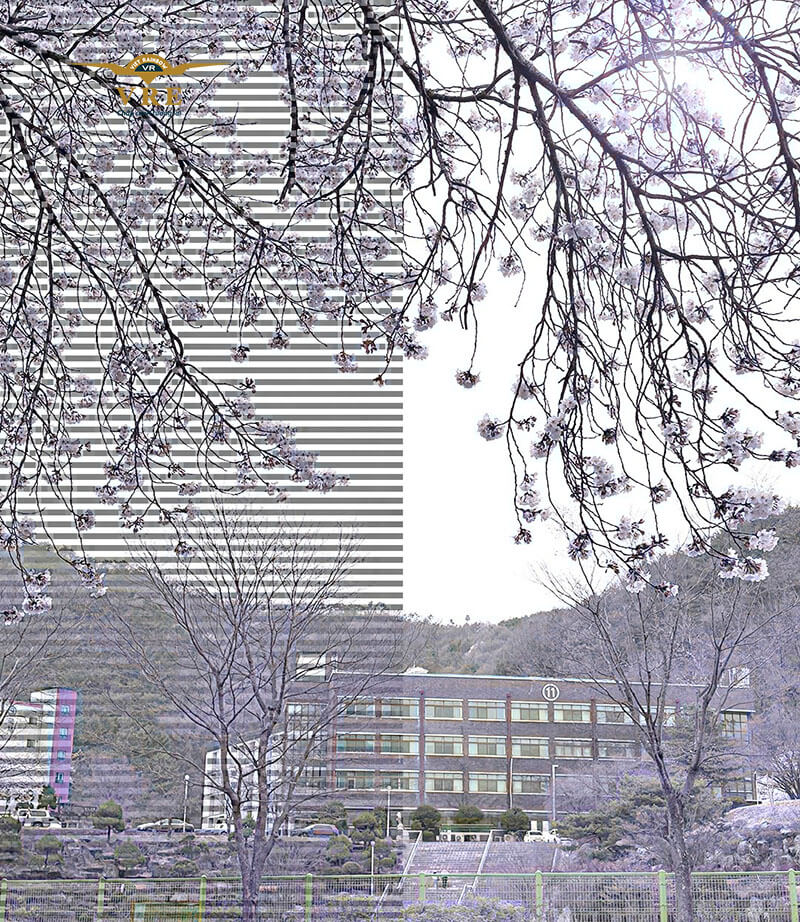 Đại học Joongbu